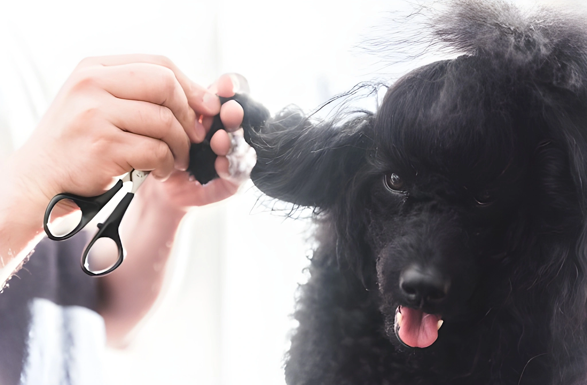 Why Matting Is Dangerous And How We Prevent It - Vaughan & GTA